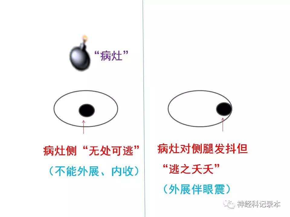 微信图片_20210910133115.jpg