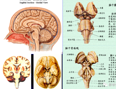 微信截图_20220513121324.png