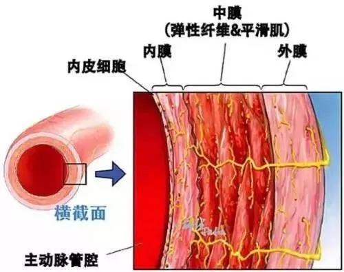 微信图片_20201204111218.jpg