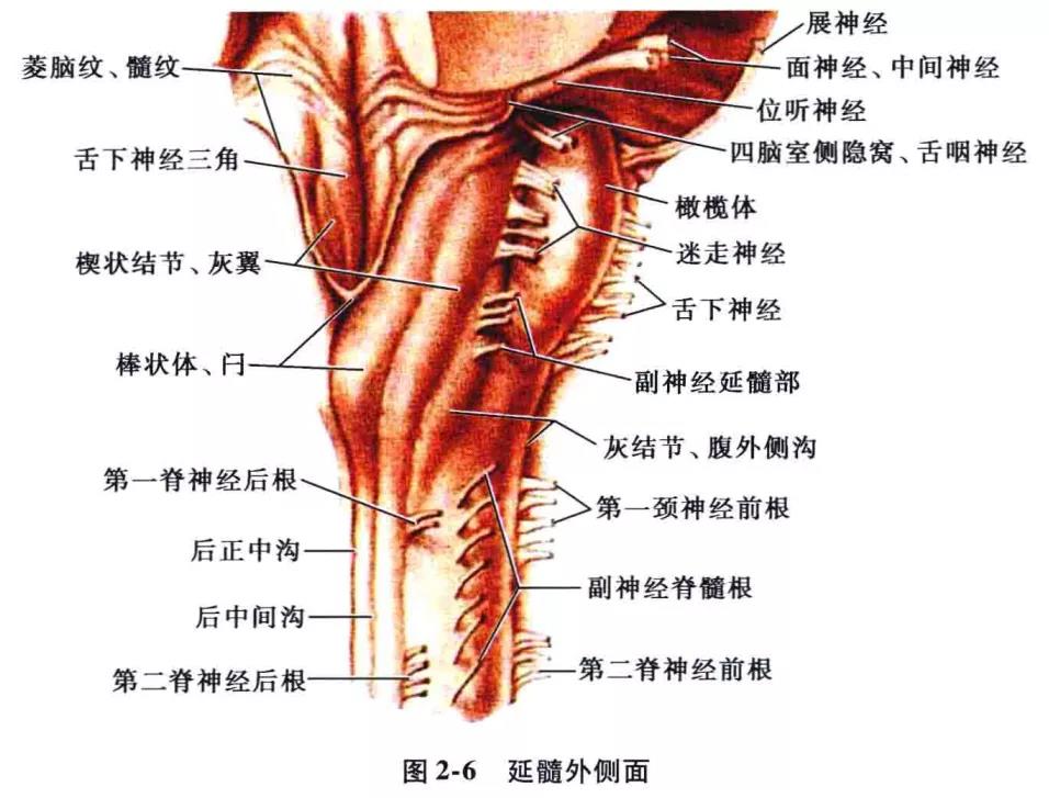 微信图片_20210826162017.jpg