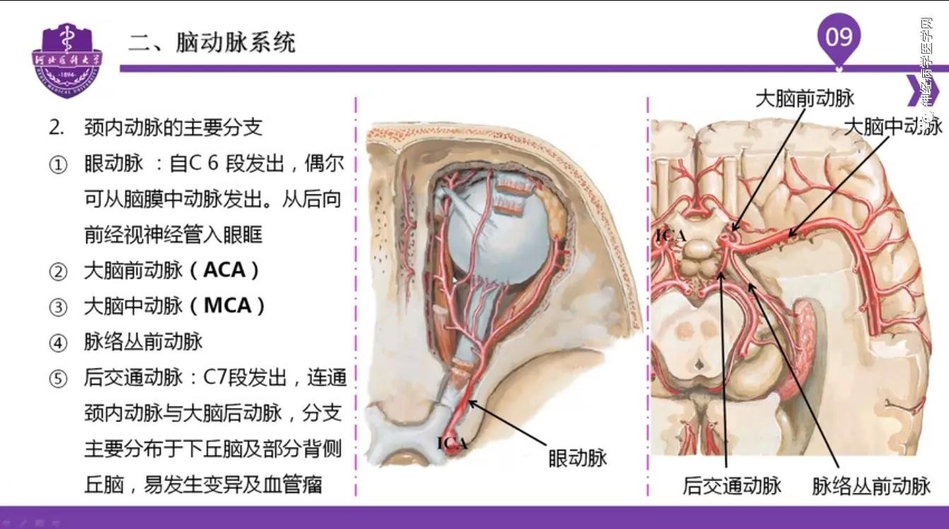 微信图片_20210701134524.jpg