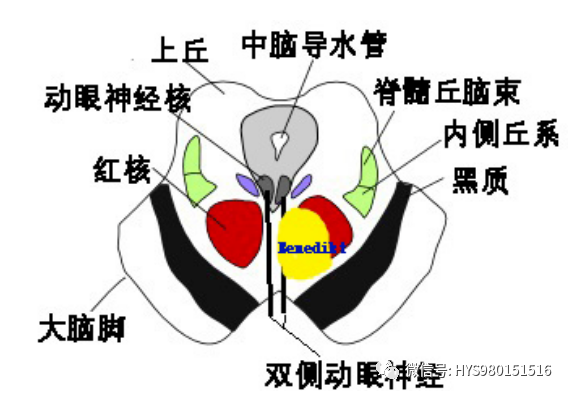 微信图片_20210811112752.png
