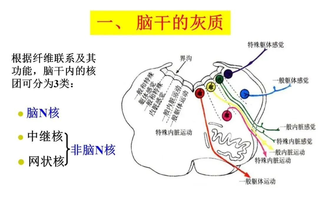 微信图片_20210310165914.jpg