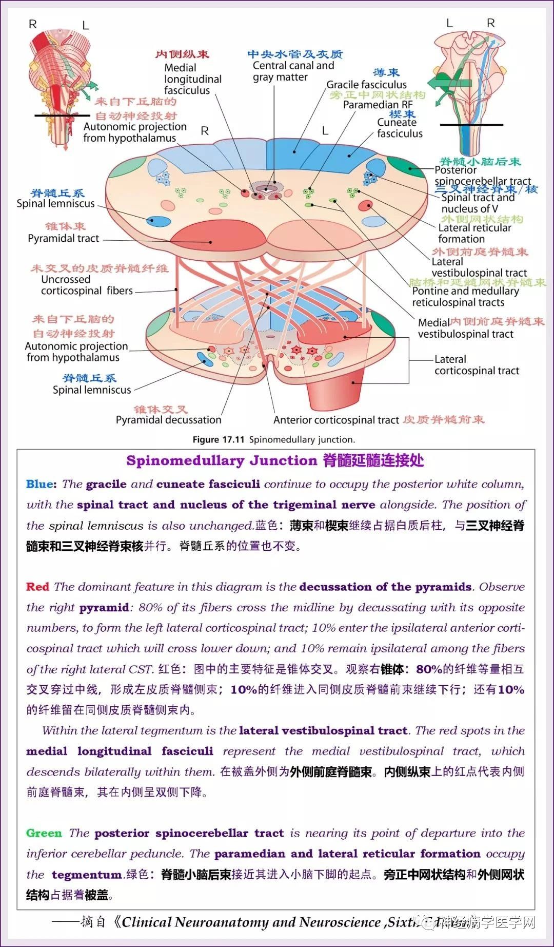 微信图片_20210309143725.jpg