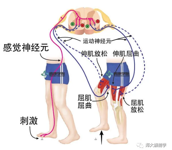 微信图片_20210525135801.png
