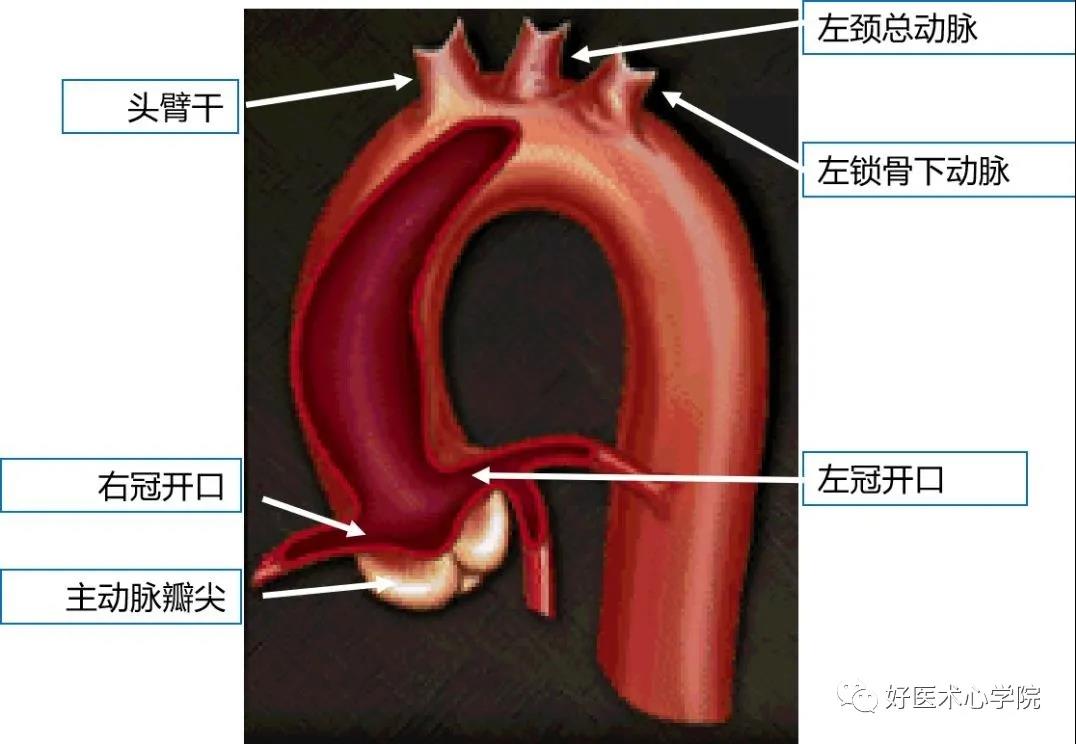 微信图片_20201217145806.jpg