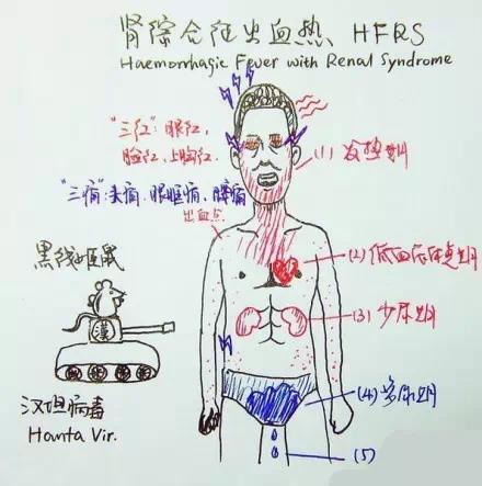 微信图片_20201104150322.jpg