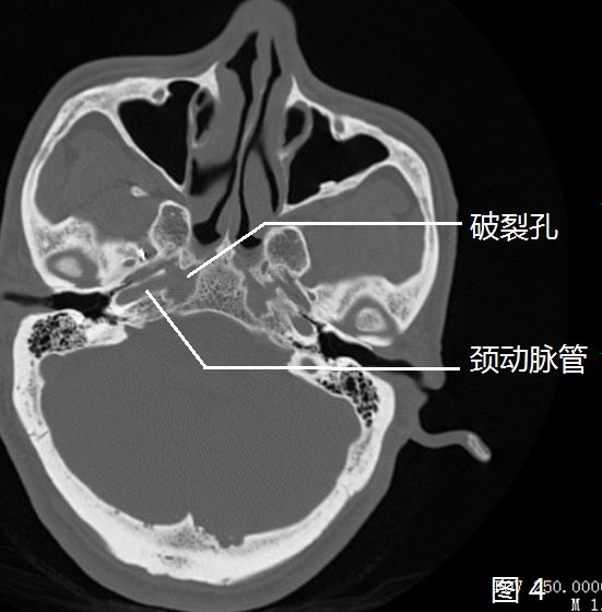 微信图片_20210413162331.jpg
