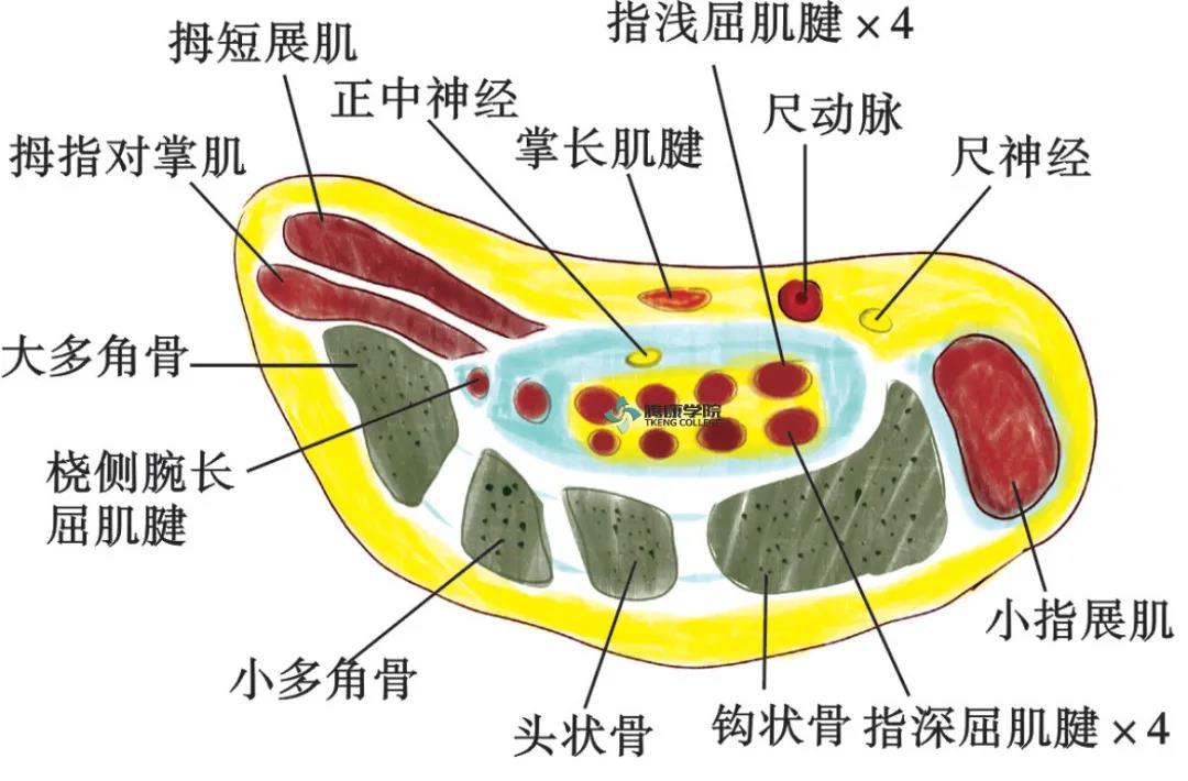 微信图片_20210420172224.jpg