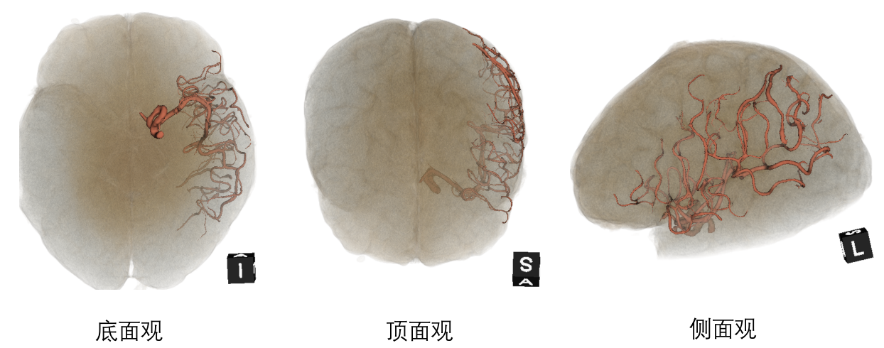 微信图片_20210319171812.png