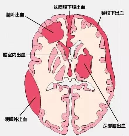 微信图片_20220616155107.jpg