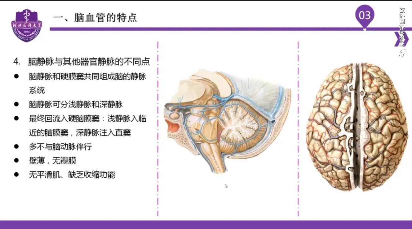 微信图片_20210701134455.jpg