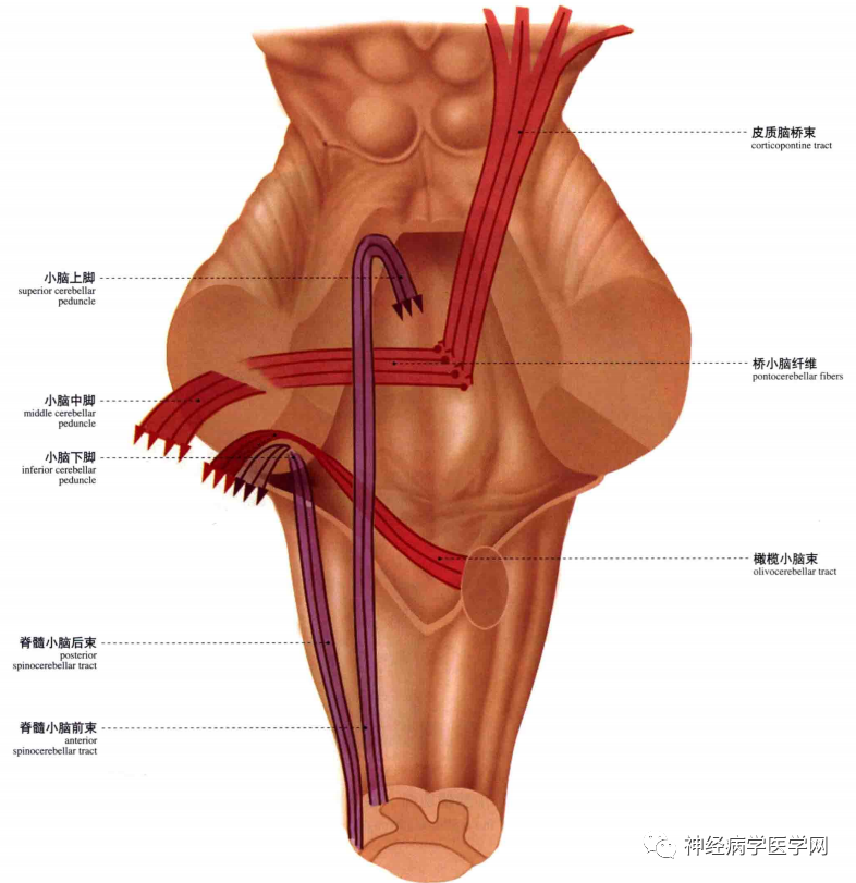 微信图片_20210128164413.png