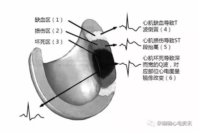 微信图片_20200608105939.jpg