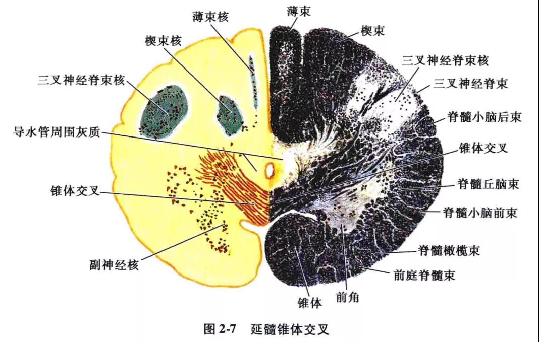 微信图片_20210826162022.jpg