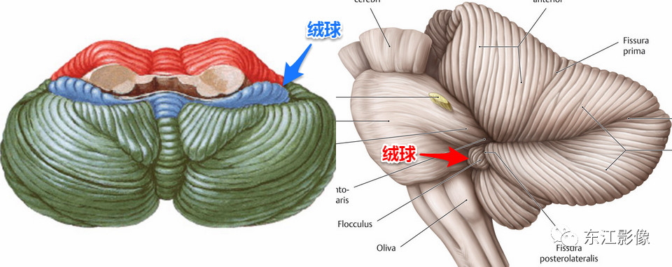 微信图片_20210310171401.jpg