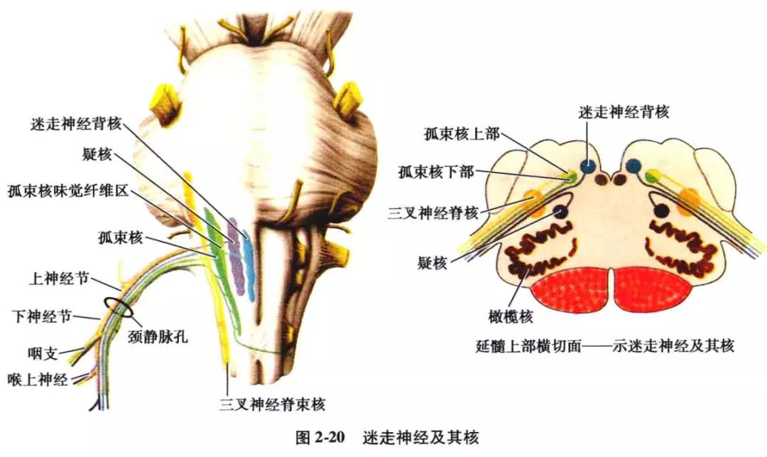 微信图片_20210826162133.jpg