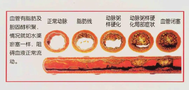 微信截图_20200410141259.png