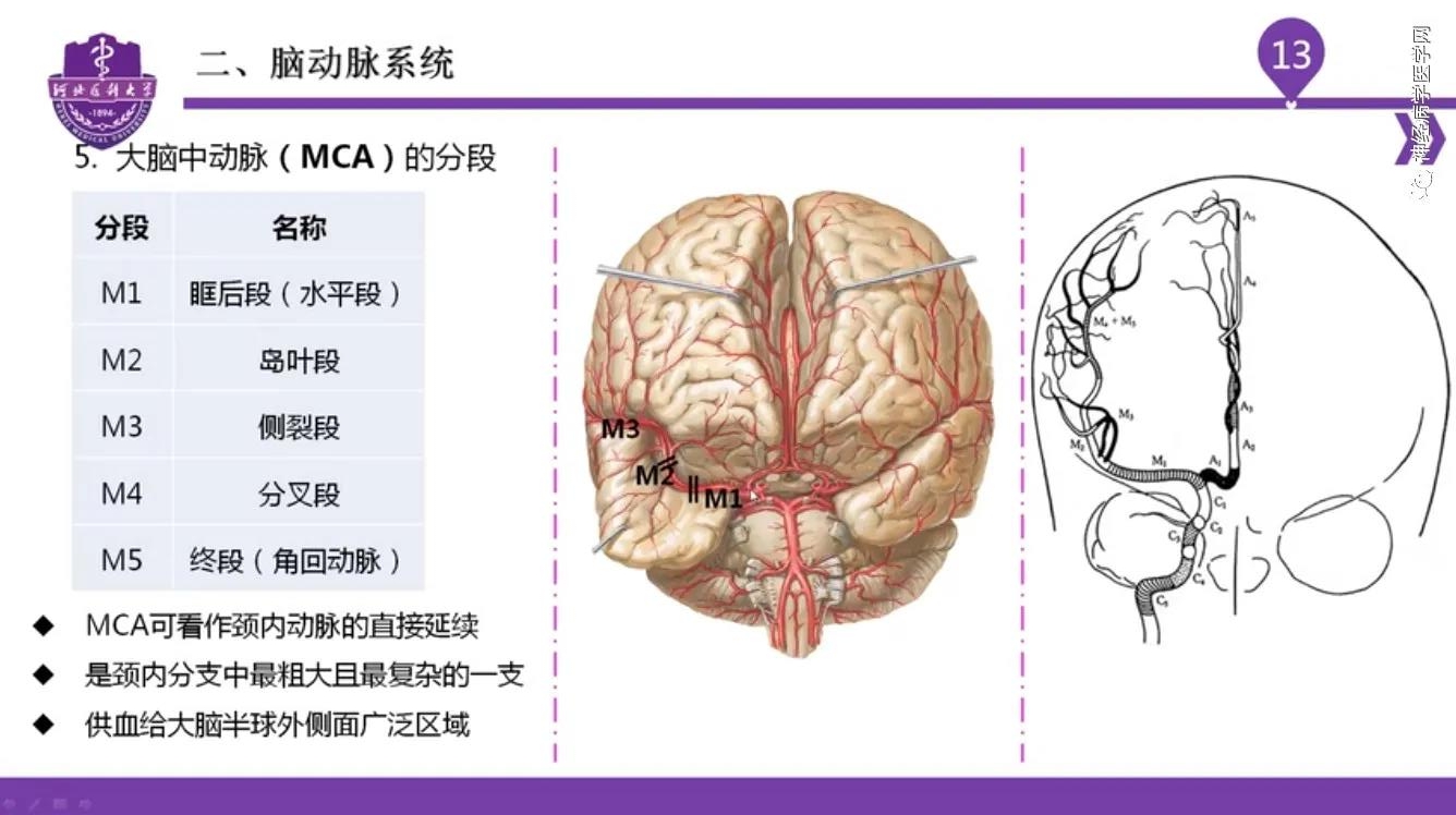 微信图片_20210701134547.jpg