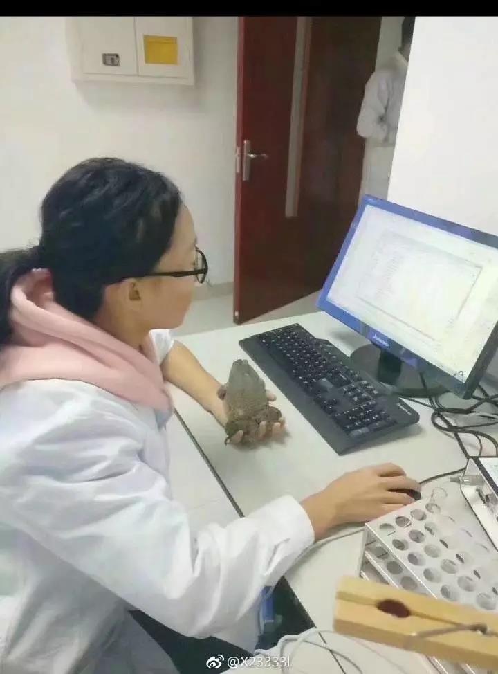 微信图片_20201119105821.jpg
