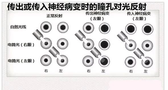 微信图片_20220616155103.jpg