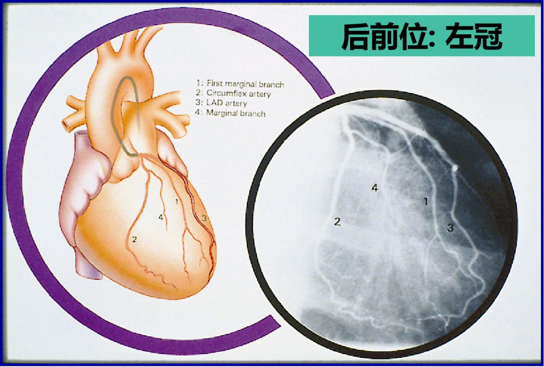 微信图片_20201217150015.jpg