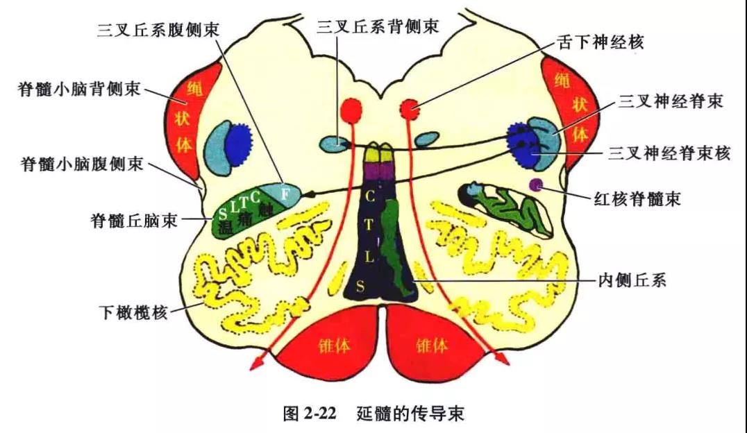 微信图片_20210826162136.jpg