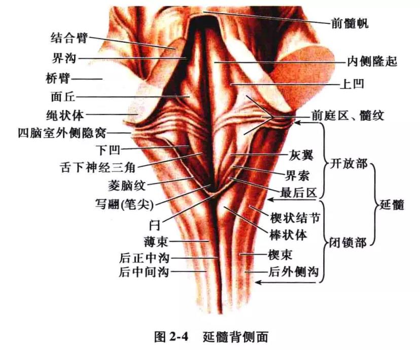 微信图片_20210826162011.jpg