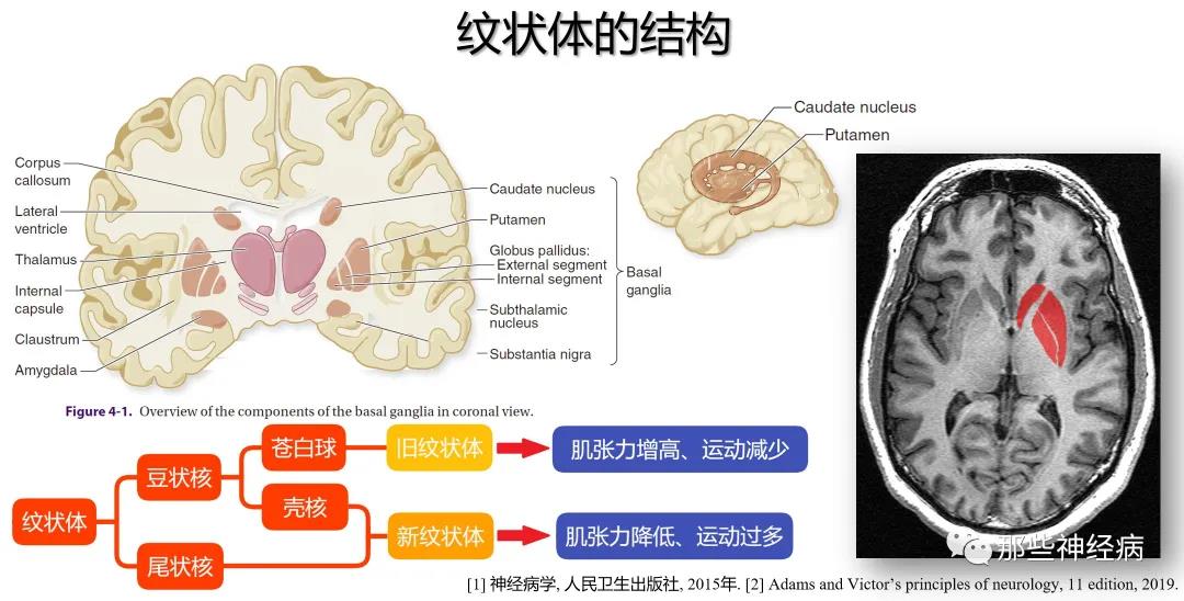 微信图片_20211026154118.jpg