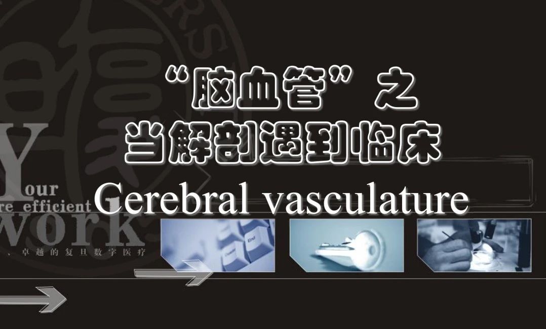 微信图片_20210319164441.jpg