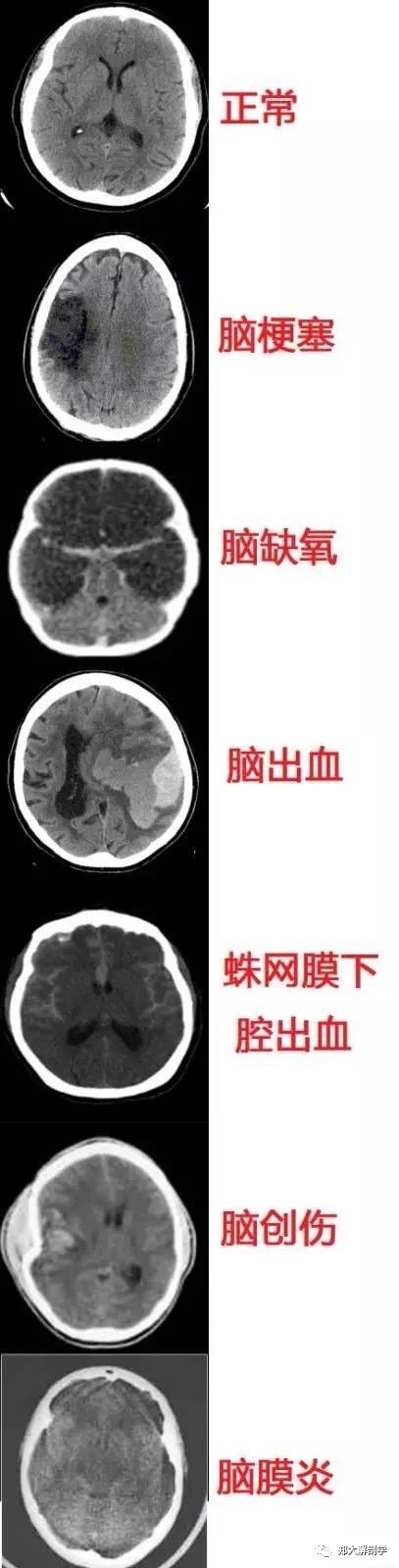微信图片_20220616155057.jpg