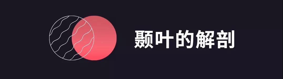 微信图片_20210826150718.jpg