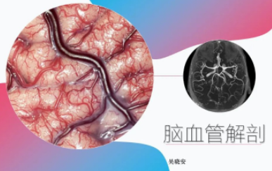 微信截图_20220513122637.png