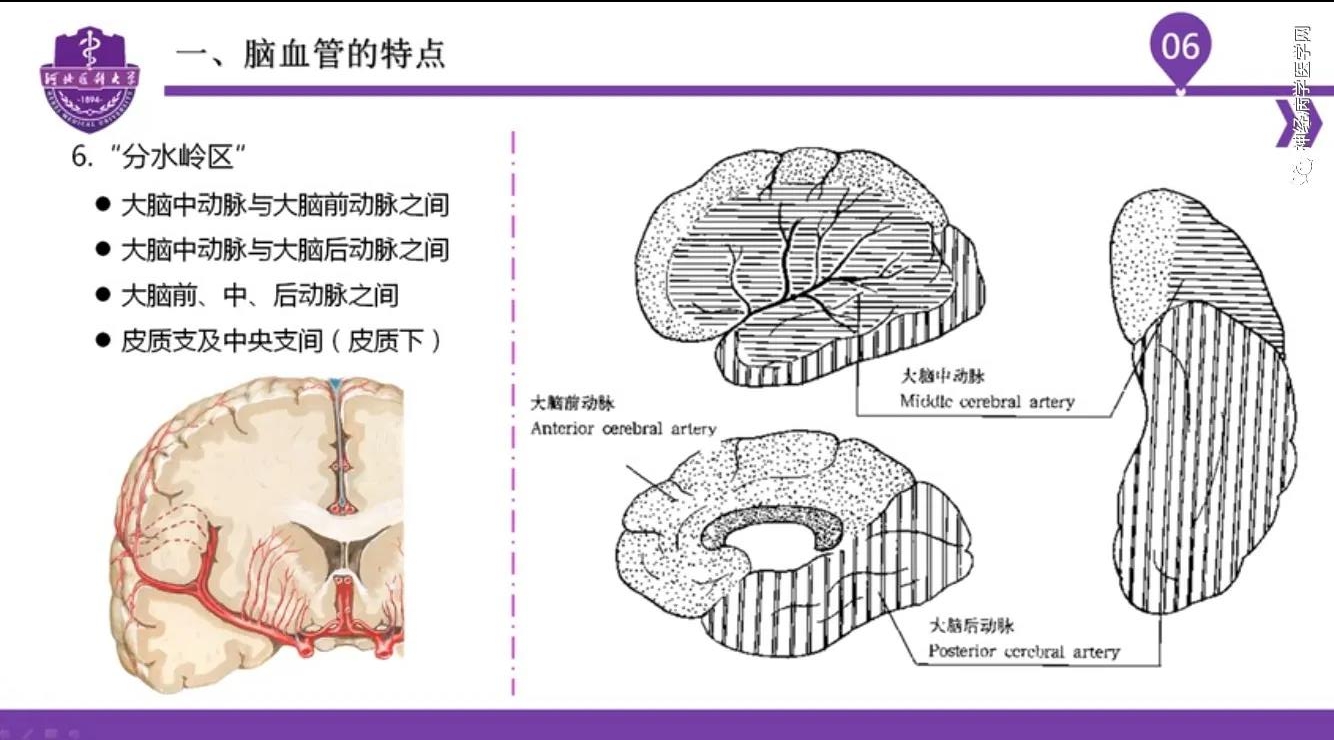 微信图片_20210701134511.jpg