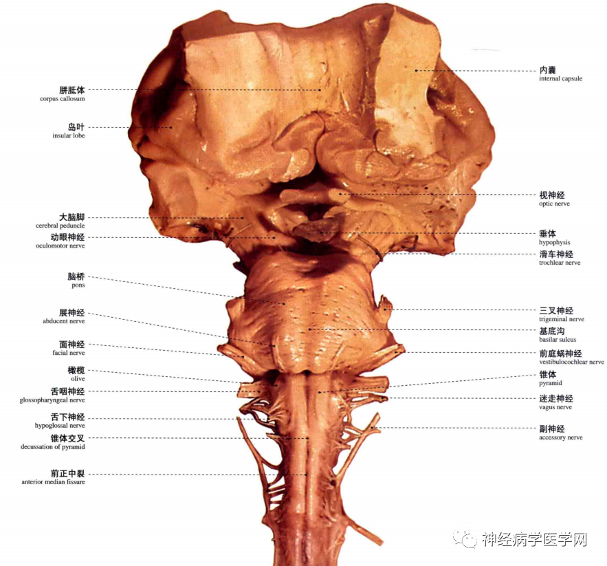 微信图片_20210128164352.png