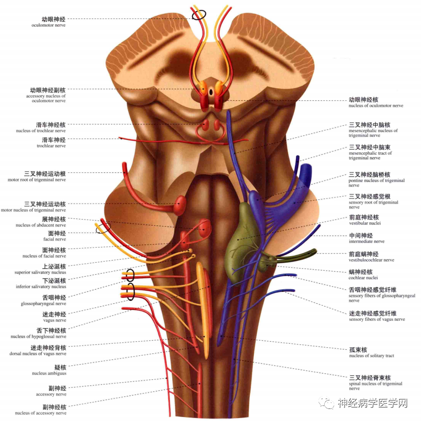 微信图片_20210128164356.png