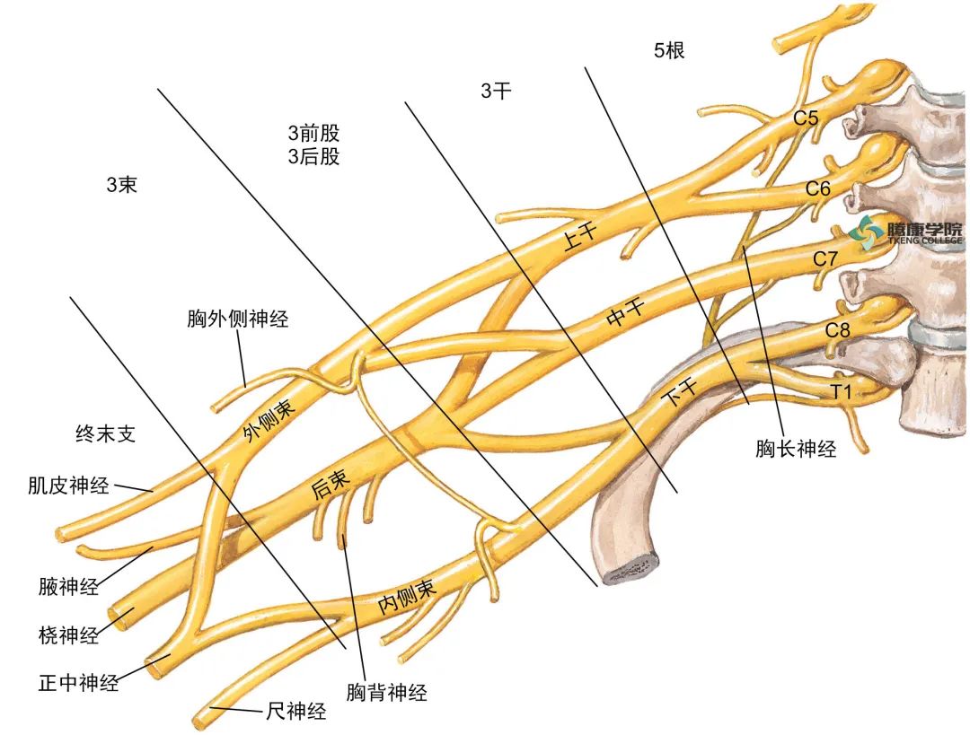 微信图片_20210422174841.jpg