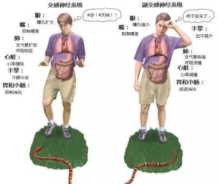 微信图片_20220616155054.jpg