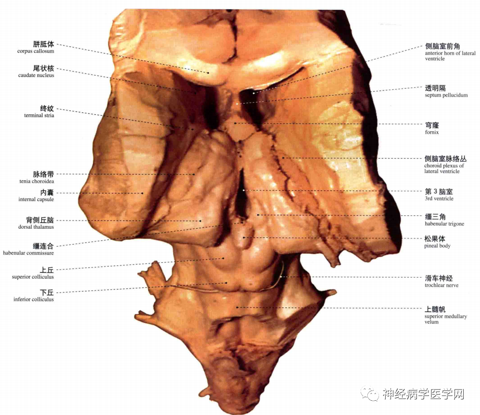 微信图片_20210128164435.png