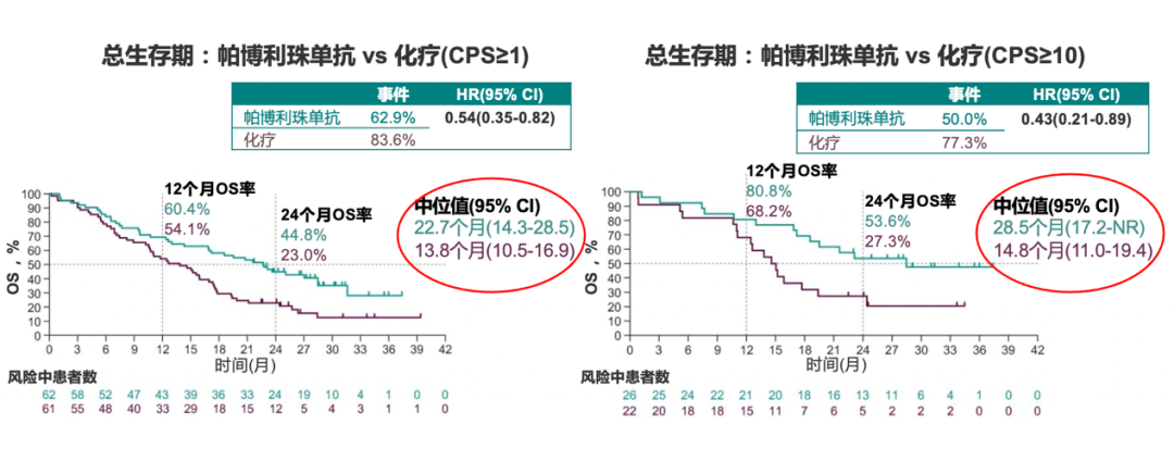 年終盤點張小田教授胃來可期2020胃癌免疫治療的收穫與思考