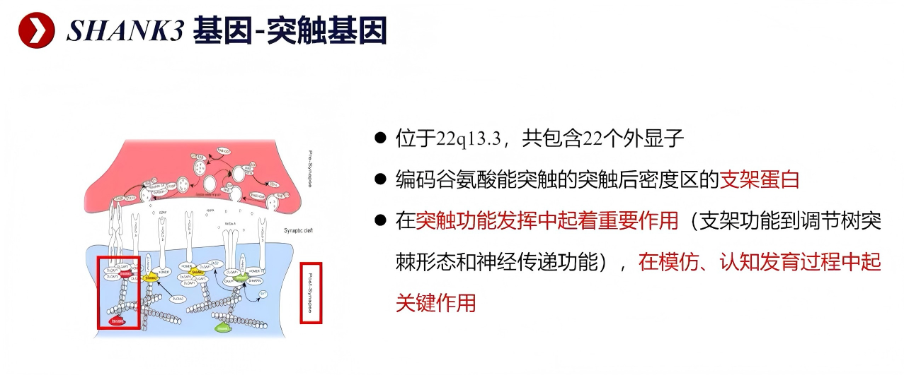 upfile slide_0032(1).png