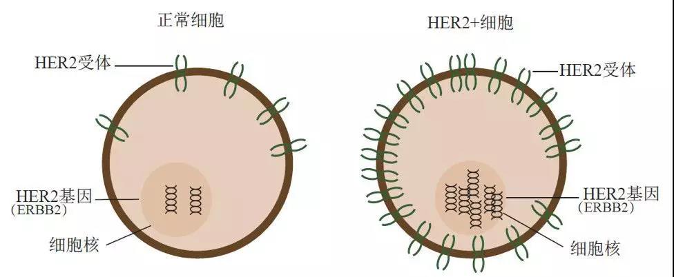微信图片_20210228194127.jpg