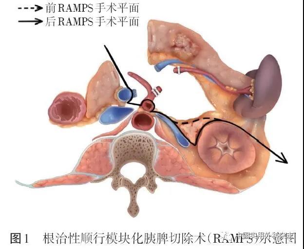 upfile 微信图片_20210618134617.jpg