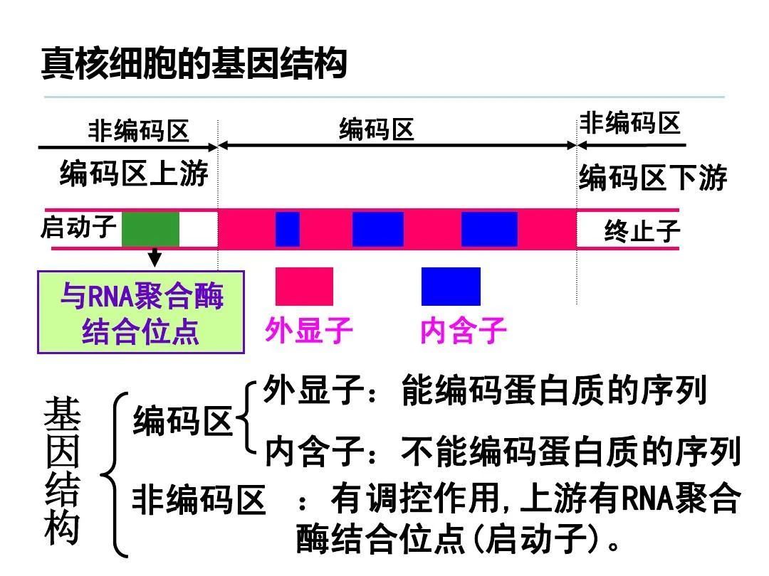 微信图片_20211108101155.jpg