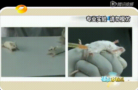 微信图片_20210706155107.gif