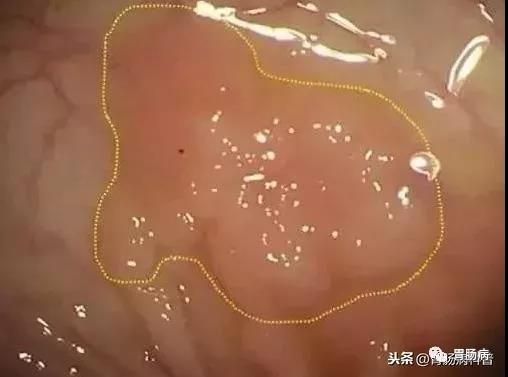 微信图片_20210228190234.jpg