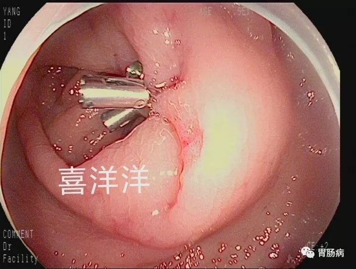微信图片_20200921171007.jpg