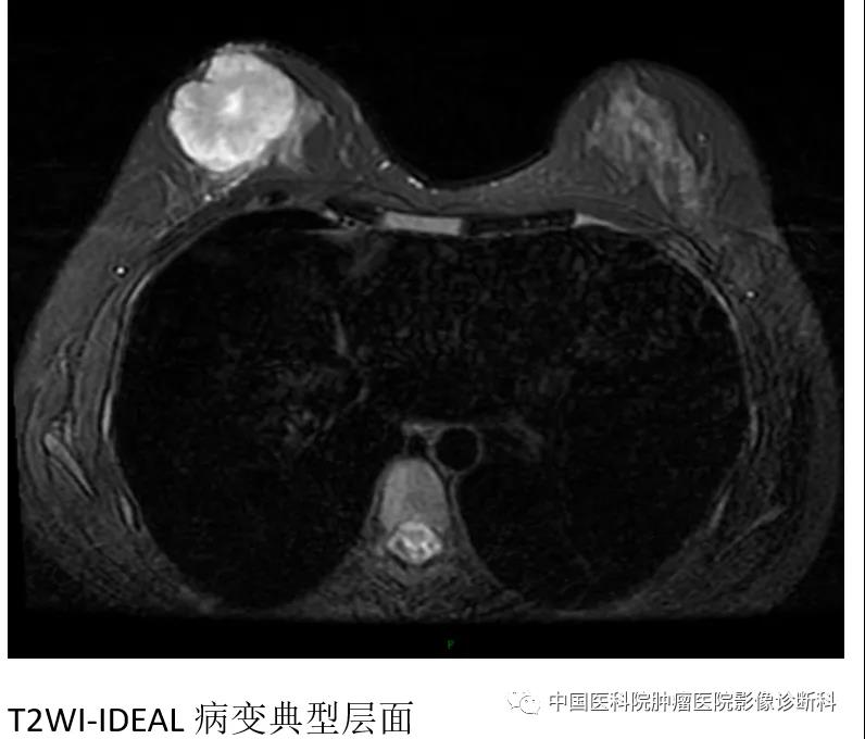 微信图片_20211018110821.jpg