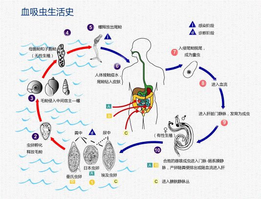 微信图片_20210806133035.jpg