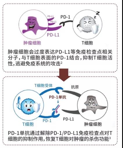 微信图片_20210826103007.jpg